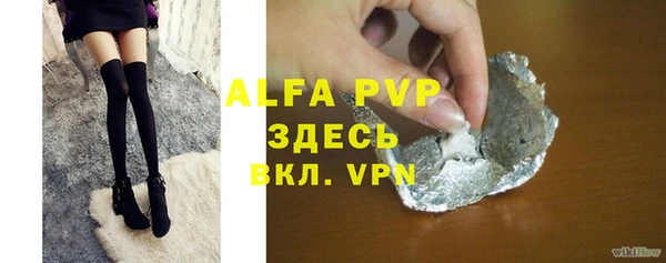 гидра Бородино