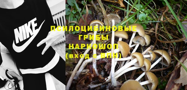 гидра Бородино