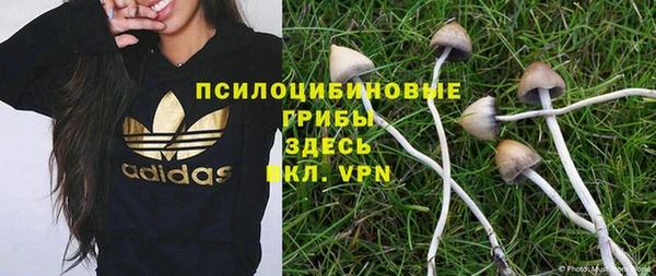 прущая мука Богданович