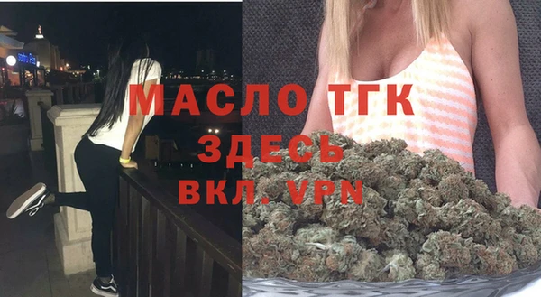 гидра Бородино