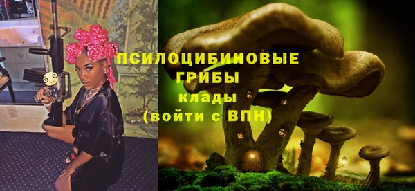 a pvp Бугульма