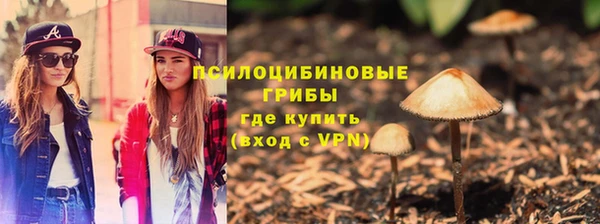 дмт Бронницы