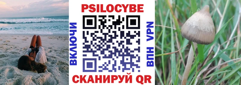 где купить наркоту Среднеуральск кракен ссылки Галлюциногенные грибы MAGIC MUSHROOMS