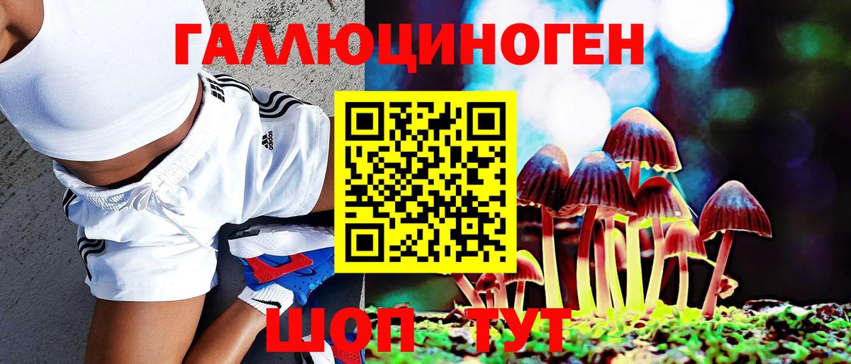 Среднеуральск  Псилоцибиновые грибы MAGIC MUSHROOMS  Вход с VPN 